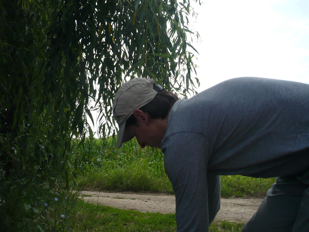 Magura 9 - 10.IUL.2014 - p1020757.JPG